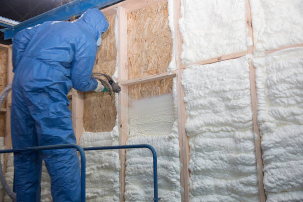 Best Batt and Roll Insulation  in Roscoe, TX